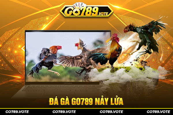 Đá gà GO789 nảy lửa